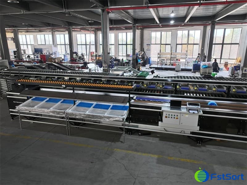images/1743134204720mango weight sorter machine.jpg